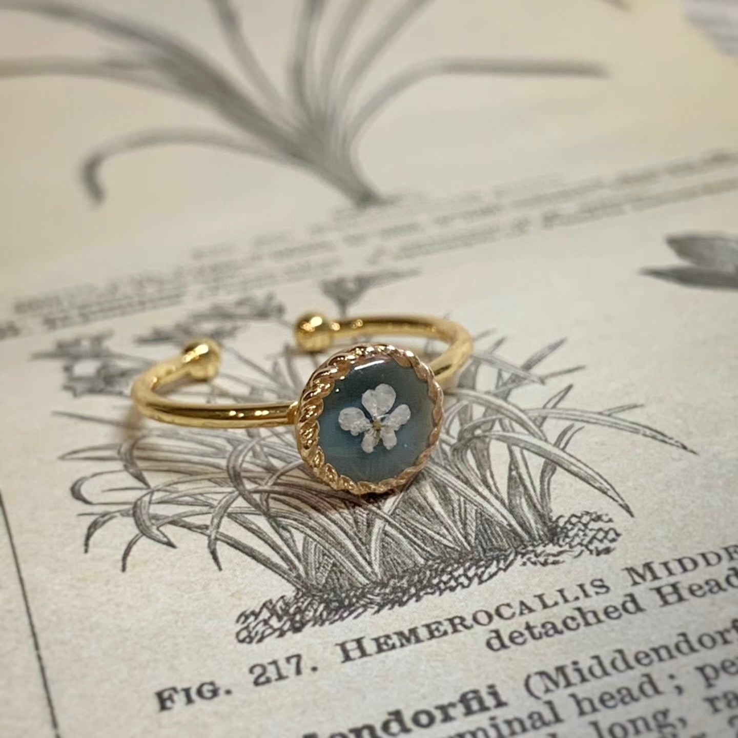 Pressed Wishes Ring — Dusty Blue