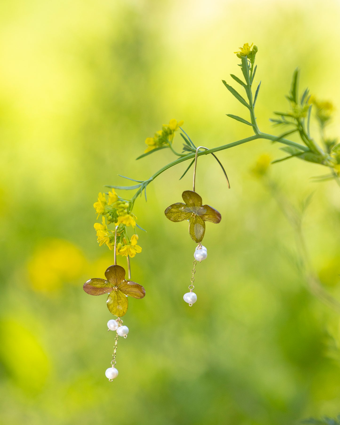 Evergreen Petals