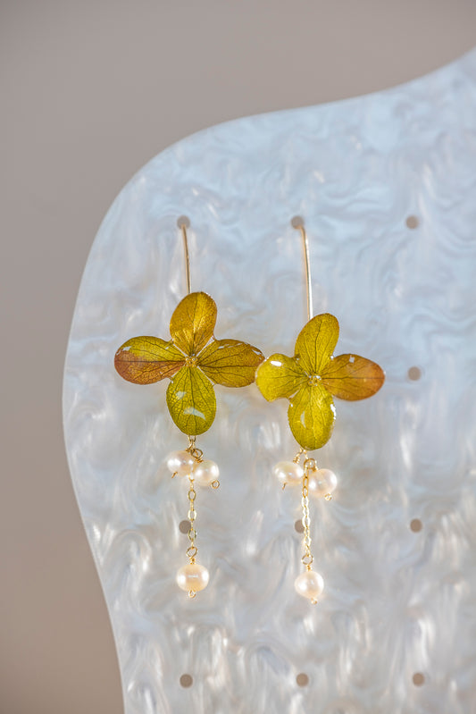 Evergreen Petals